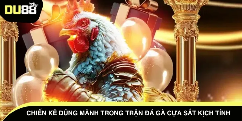 Chiến kê dũng mãnh trong trận đá gà cựa sắt kịch tính